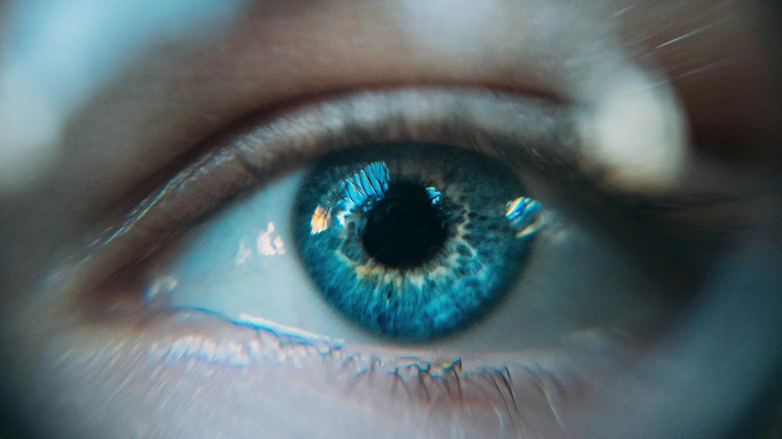 Ophthalmology laboratory